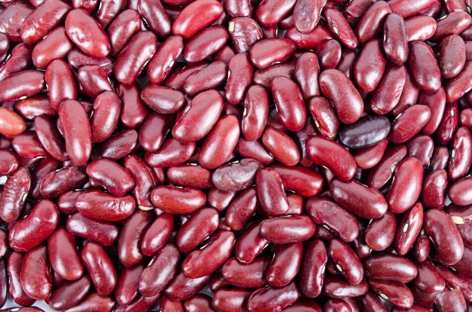Foods That Cause Bloating