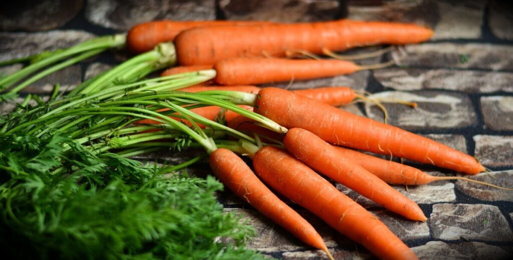 Maintain Cholesterol Level With These Seasonal Vegetables