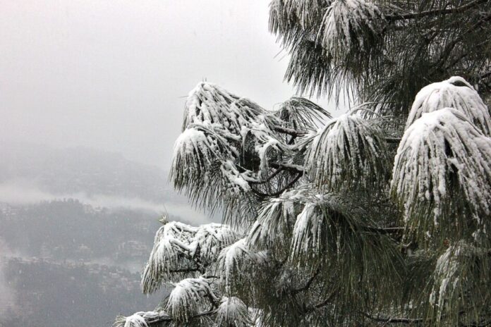 Snow-Capped Destinations Of Himachal Pradesh