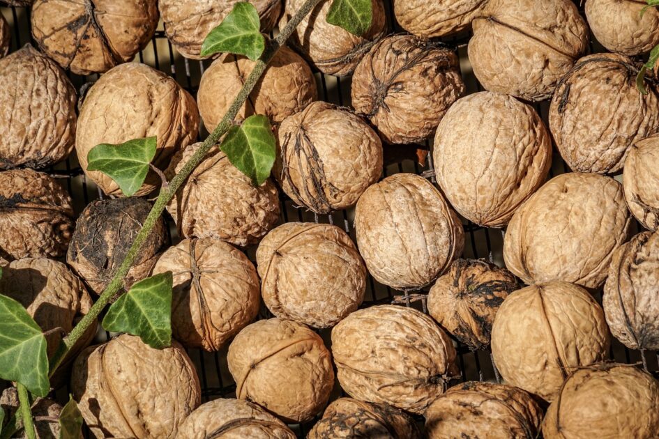 Superfoods To Eat During This Season!