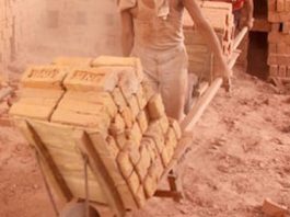 Brickkiln worker