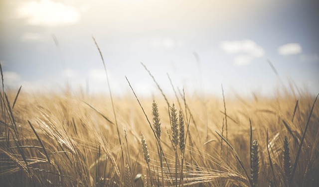 Agricultural Scientific Selection Board Recruitment 2023