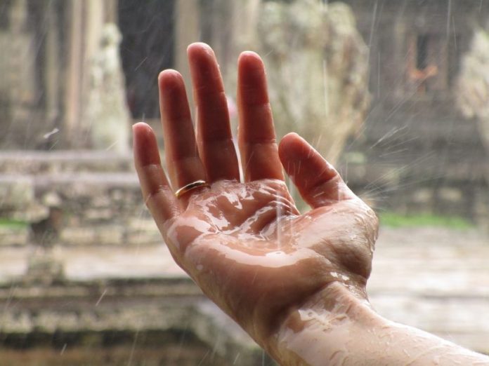 What You Should Eat In Monsoon Season?