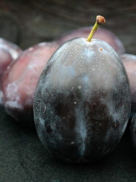 Health Benefits of Jamun - Buziness Bytes