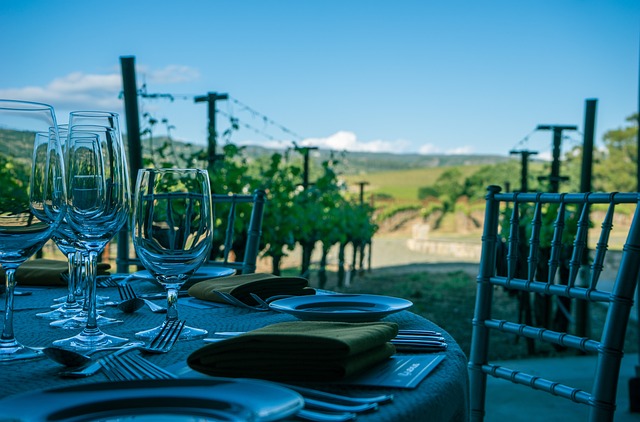 Vineyards To Explore In India