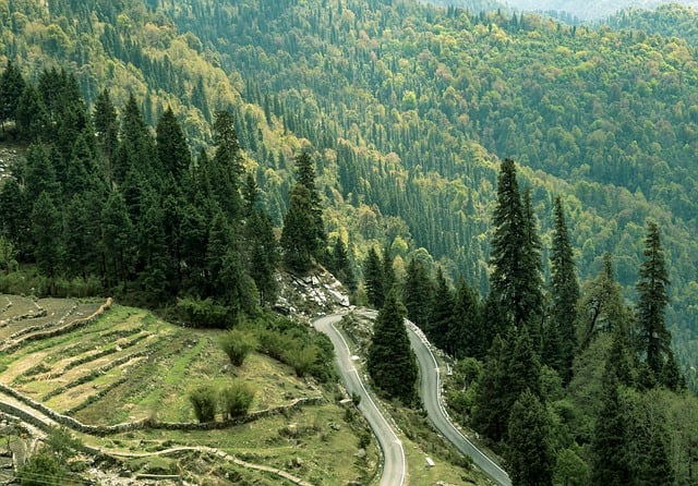 Independence-Day-2023-Weekend-Travel-Ideas-2 - Buziness Bytes Independence Day 2023 Weekend Travel Ideas