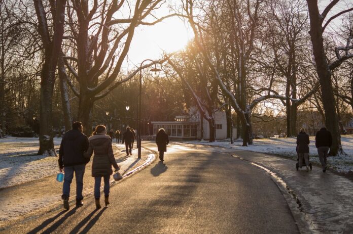 people walking on the road