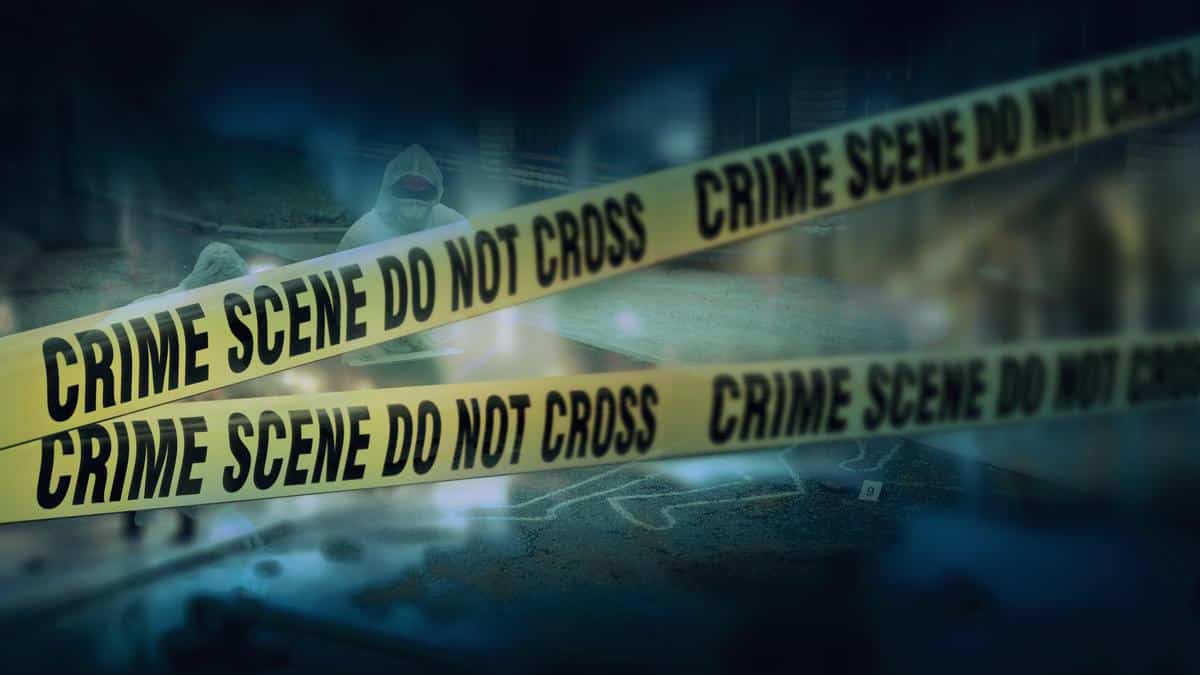 Delhi Hit-and-Run: