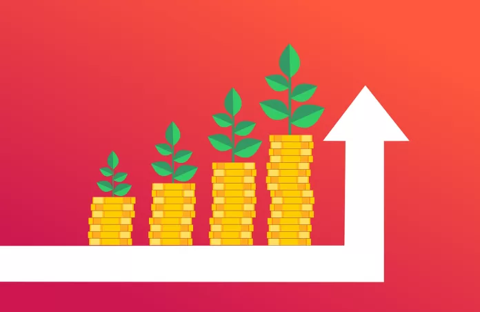 What Is Diversification